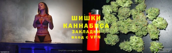 ешки Гусь-Хрустальный