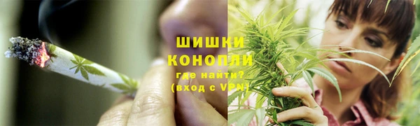 амф Гусиноозёрск