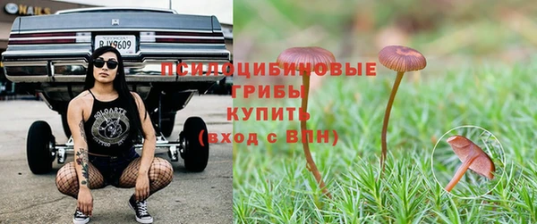 прущие грибы Горнозаводск