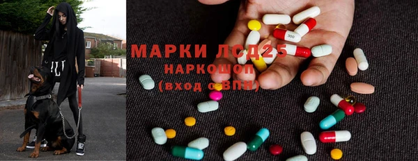 прущие грибы Горнозаводск