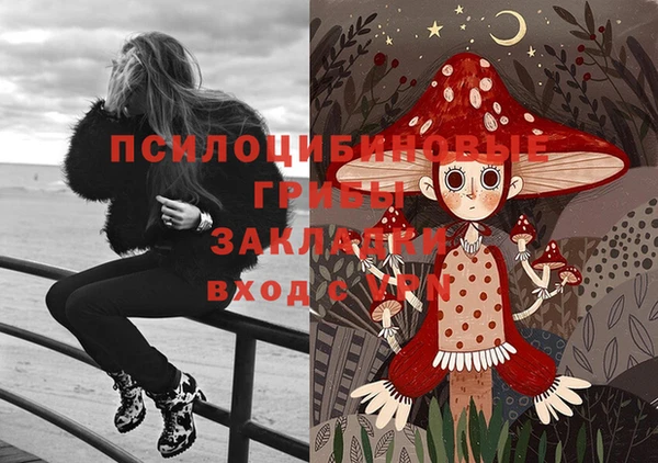 стаф Горняк