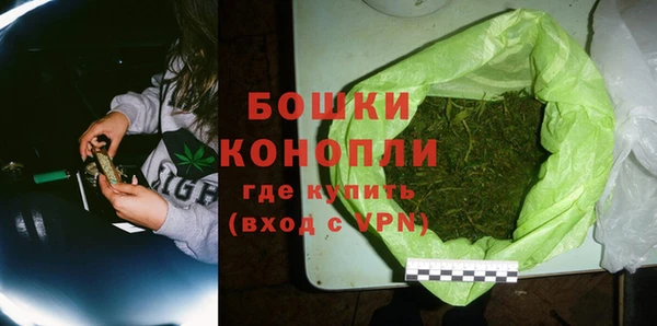 прущие грибы Горнозаводск