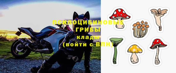первитин Гусев