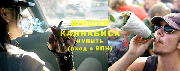 прущие грибы Горнозаводск
