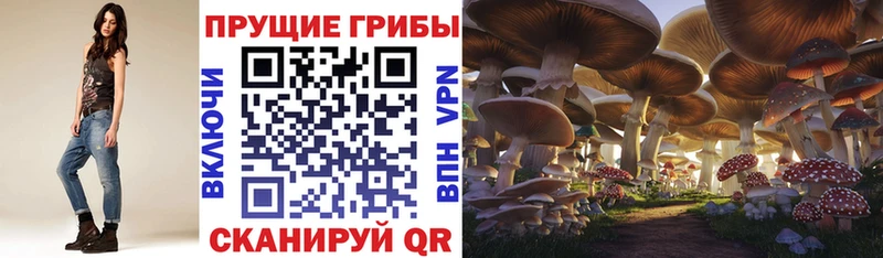 Псилоцибиновые грибы GOLDEN TEACHER  это наркотические препараты  Калининград 